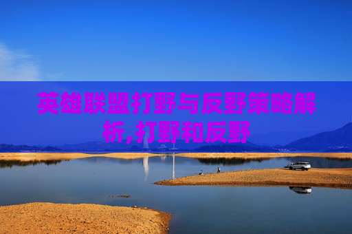 英雄联盟打野与反野策略解析,打野和反野