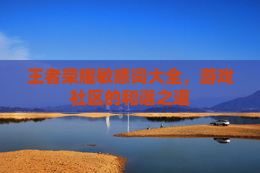 王者荣耀敏感词大全，游戏社区的和谐之道