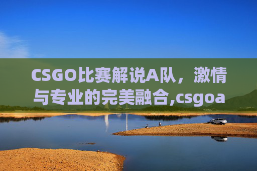 CSGO比赛解说A队，激情与专业的完美融合,csgoa队比赛视频
