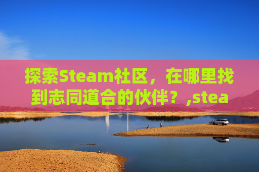 探索Steam社区，在哪里找到志同道合的伙伴？,steam怎么看群聊