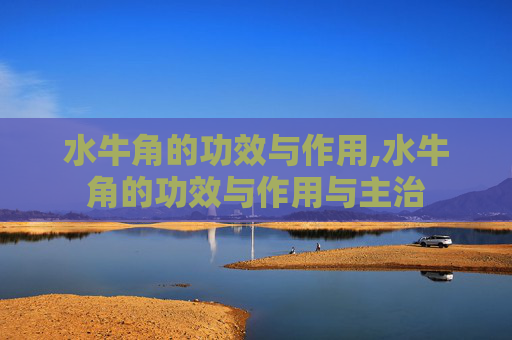 水牛角的功效与作用,水牛角的功效与作用与主治