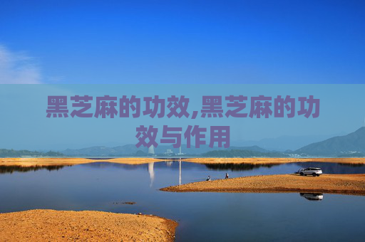 黑芝麻的功效,黑芝麻的功效与作用