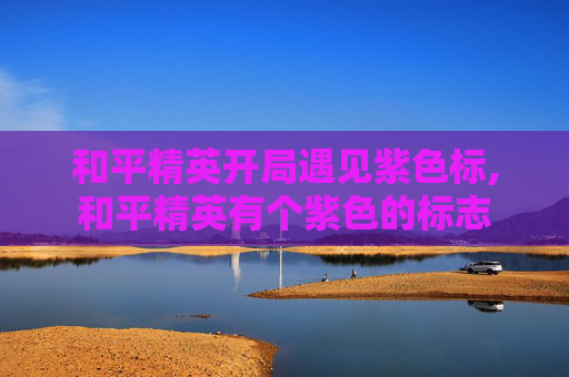 和平精英开局遇见紫色标,和平精英有个紫色的标志