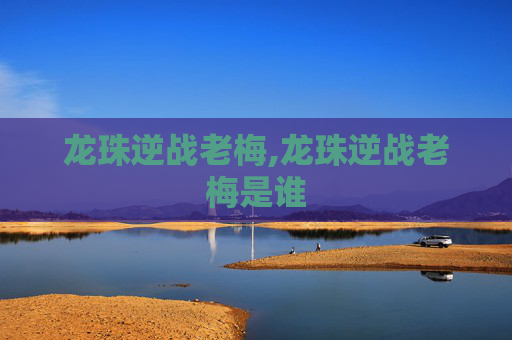 龙珠逆战老梅,龙珠逆战老梅是谁