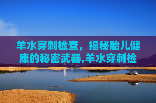 羊水穿刺检查，揭秘胎儿健康的秘密武器,羊水穿刺检查多少钱
