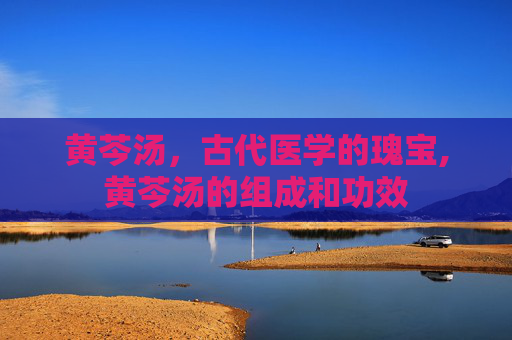 黄芩汤，古代医学的瑰宝,黄芩汤的组成和功效
