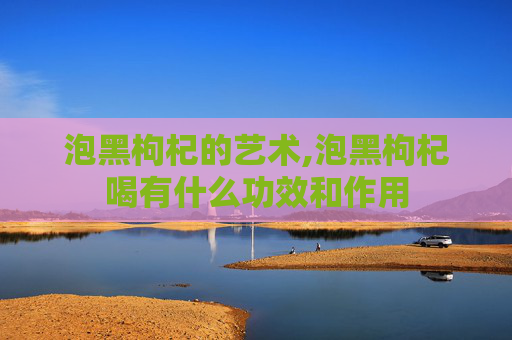 泡黑枸杞的艺术,泡黑枸杞喝有什么功效和作用