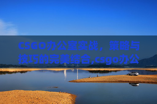 CSGO办公室实战，策略与技巧的完美结合,csgo办公室52375