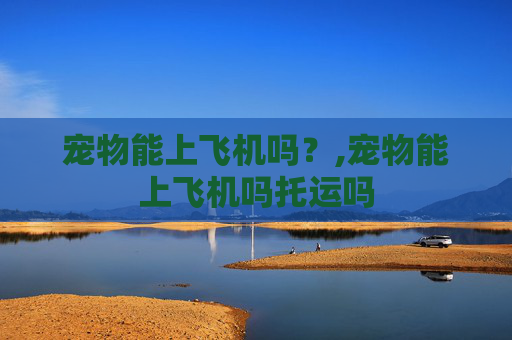 宠物能上飞机吗？,宠物能上飞机吗托运吗