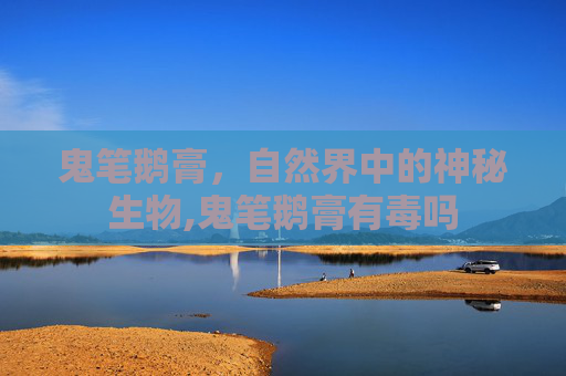 鬼笔鹅膏，自然界中的神秘生物,鬼笔鹅膏有毒吗