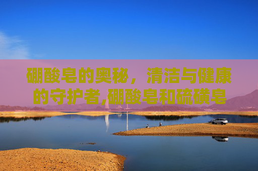 硼酸皂的奥秘，清洁与健康的守护者,硼酸皂和硫磺皂的区别