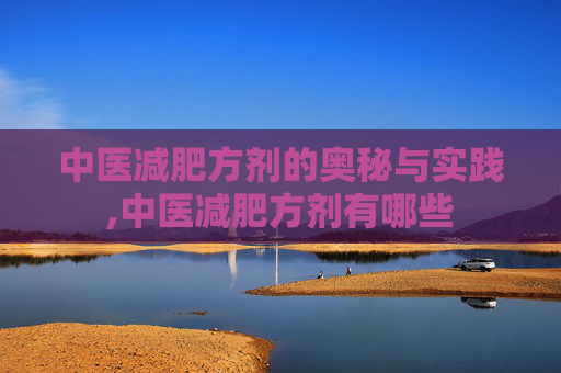 中医减肥方剂的奥秘与实践,中医减肥方剂有哪些