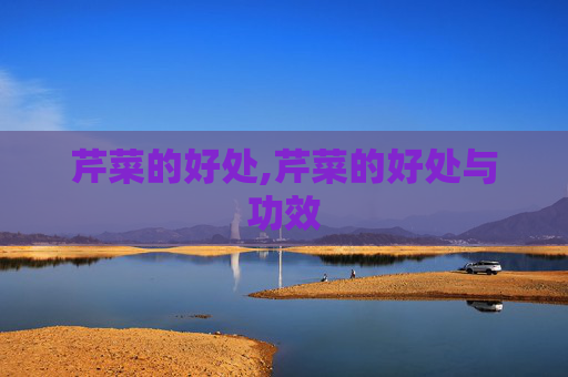 芹菜的好处,芹菜的好处与功效