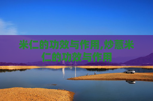 米仁的功效与作用,炒薏米仁的功效与作用