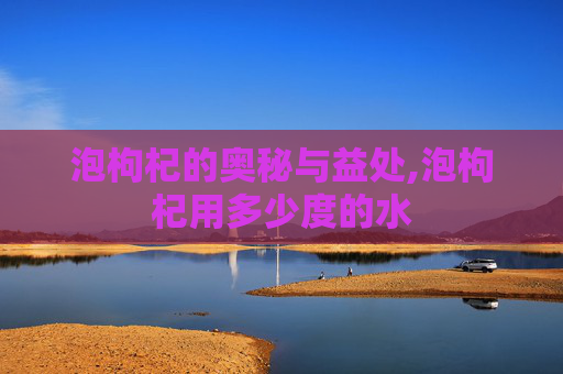 泡枸杞的奥秘与益处,泡枸杞用多少度的水