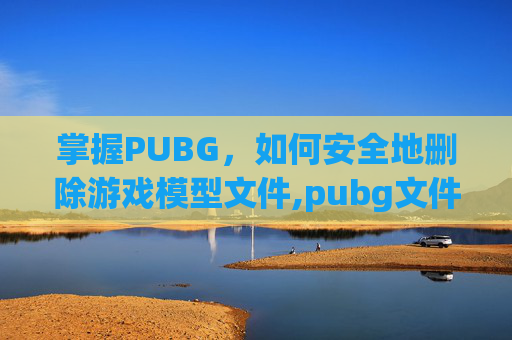 掌握PUBG，如何安全地删除游戏模型文件,pubg文件夹删不掉怎么办