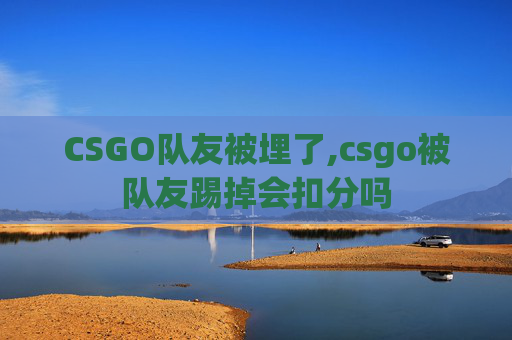 CSGO队友被埋了,csgo被队友踢掉会扣分吗