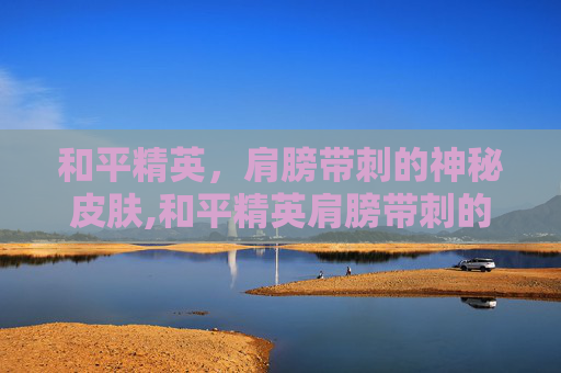 和平精英，肩膀带刺的神秘皮肤,和平精英肩膀带刺的风衣