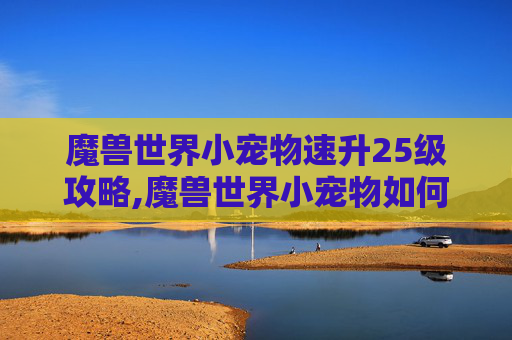 魔兽世界小宠物速升25级攻略,魔兽世界小宠物如何快速升级到25