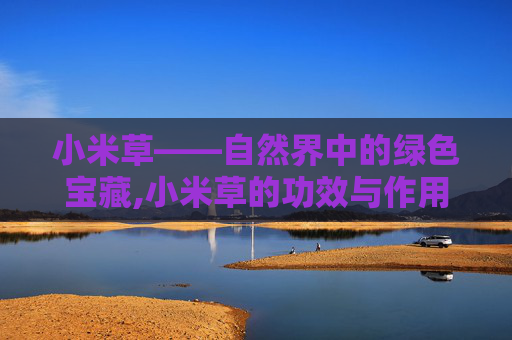 小米草——自然界中的绿色宝藏,小米草的功效与作用