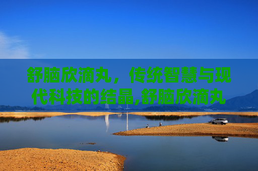 舒脑欣滴丸，传统智慧与现代科技的结晶,舒脑欣滴丸一次吃几粒