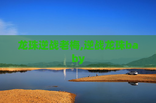 龙珠逆战老梅,逆战龙珠baby