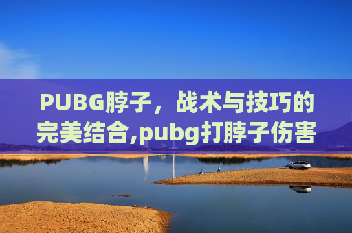 PUBG脖子，战术与技巧的完美结合,pubg打脖子伤害