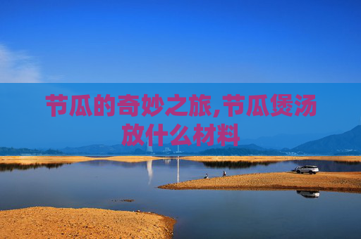 节瓜的奇妙之旅,节瓜煲汤放什么材料