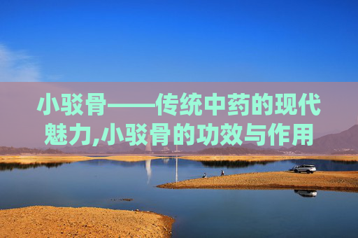 小驳骨——传统中药的现代魅力,小驳骨的功效与作用