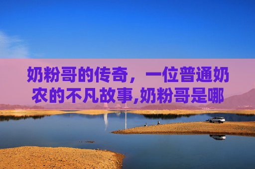 奶粉哥的传奇，一位普通奶农的不凡故事,奶粉哥是哪一部电视剧