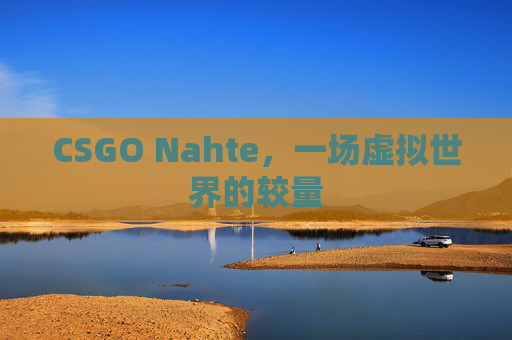 CSGO Nahte，一场虚拟世界的较量