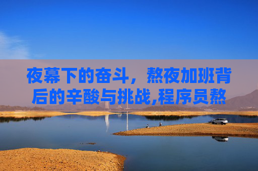 夜幕下的奋斗，熬夜加班背后的辛酸与挑战,程序员熬夜加班