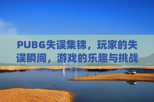 PUBG失误集锦，玩家的失误瞬间，游戏的乐趣与挑战,pubg事件