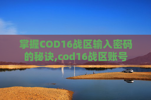 掌握COD16战区输入密码的秘诀,cod16战区账号