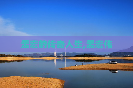 孟宏的传奇人生,孟宏伟