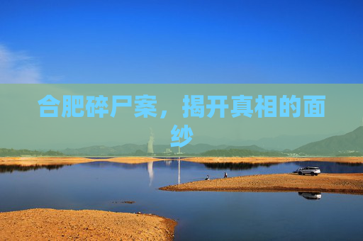 合肥碎尸案，揭开真相的面纱
