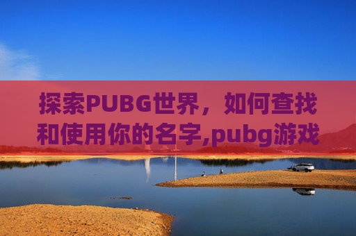 探索PUBG世界，如何查找和使用你的名字,pubg游戏id怎么查