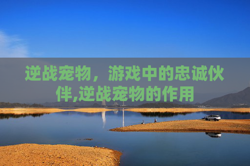 逆战宠物，游戏中的忠诚伙伴,逆战宠物的作用