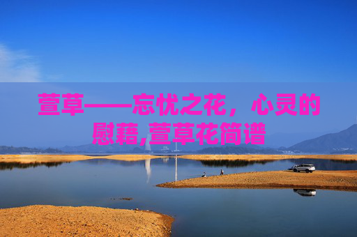 萱草——忘忧之花，心灵的慰藉,萱草花简谱