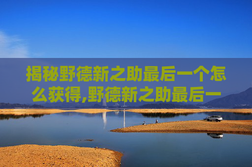 揭秘野德新之助最后一个怎么获得,野德新之助最后一个不充钱