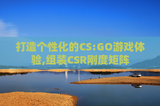 打造个性化的CS:GO游戏体验,组装CSR刚度矩阵