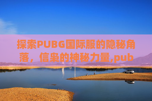 探索PUBG国际服的隐秘角落，信枭的神秘力量,pub据国际服