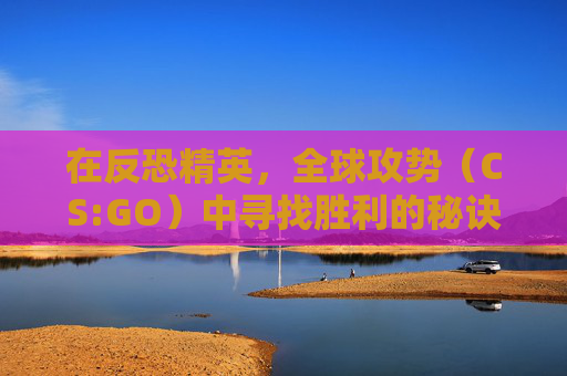 在反恐精英，全球攻势（CS:GO）中寻找胜利的秘诀