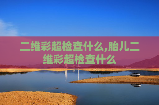 二维彩超检查什么,胎儿二维彩超检查什么