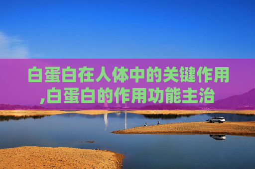 白蛋白在人体中的关键作用,白蛋白的作用功能主治