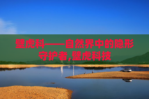 壁虎科——自然界中的隐形守护者,壁虎科技