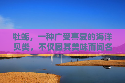 牡蛎，一种广受喜爱的海洋贝类，不仅因其美味而闻名，还因其丰富的营养价值和多样的健康功效而备受推崇。本文将深入探讨牡蛎的作用与功效，帮助您更好地了解这一海洋珍宝的益处。,牡蛎的作用与功效是什么