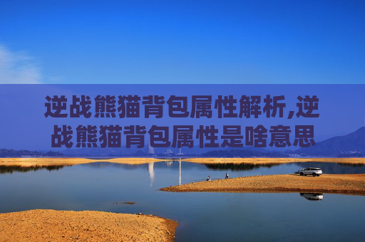 逆战熊猫背包属性解析,逆战熊猫背包属性是啥意思