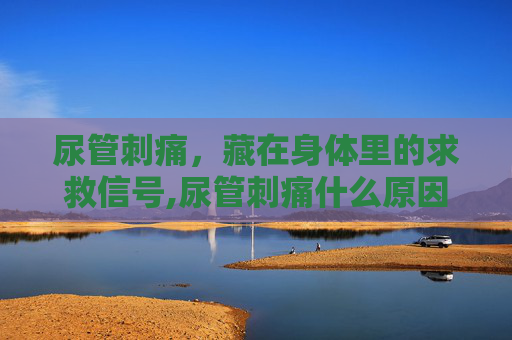 尿管刺痛，藏在身体里的求救信号,尿管刺痛什么原因