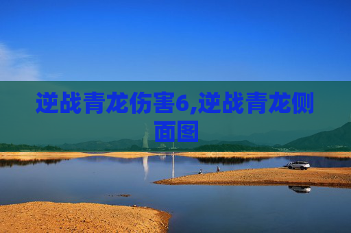 逆战青龙伤害6,逆战青龙侧面图